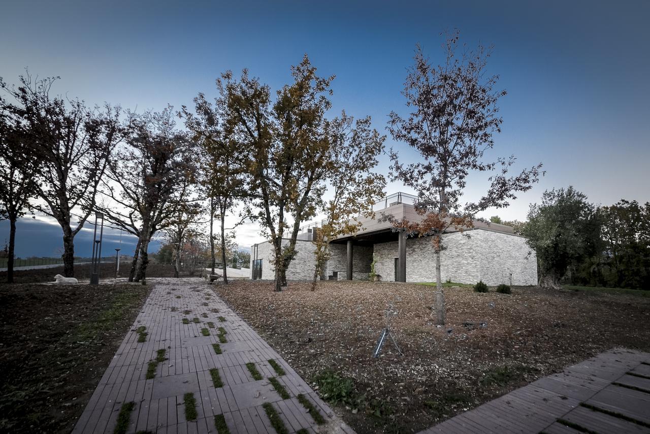 Villa Palazzo Tronconi à Arce Extérieur photo